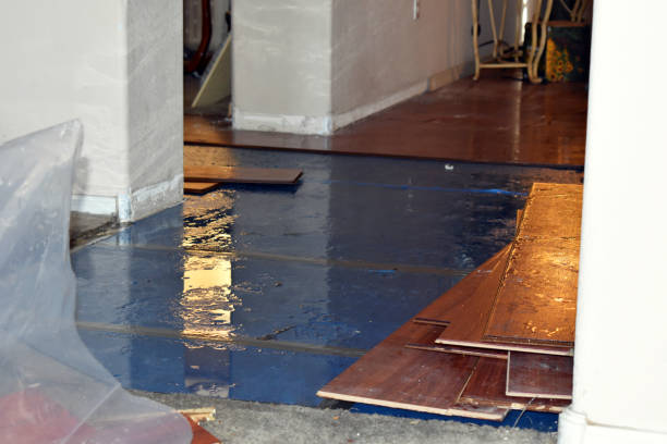 Professional Water Damage Restoration technician working in Clio, AL